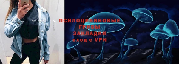 герыч Алексин