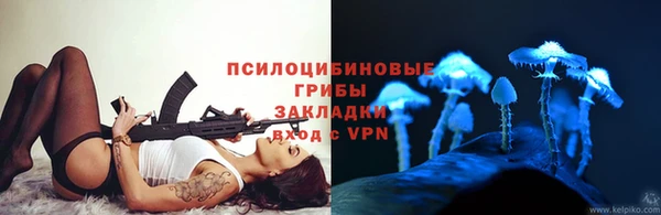 винт Алзамай
